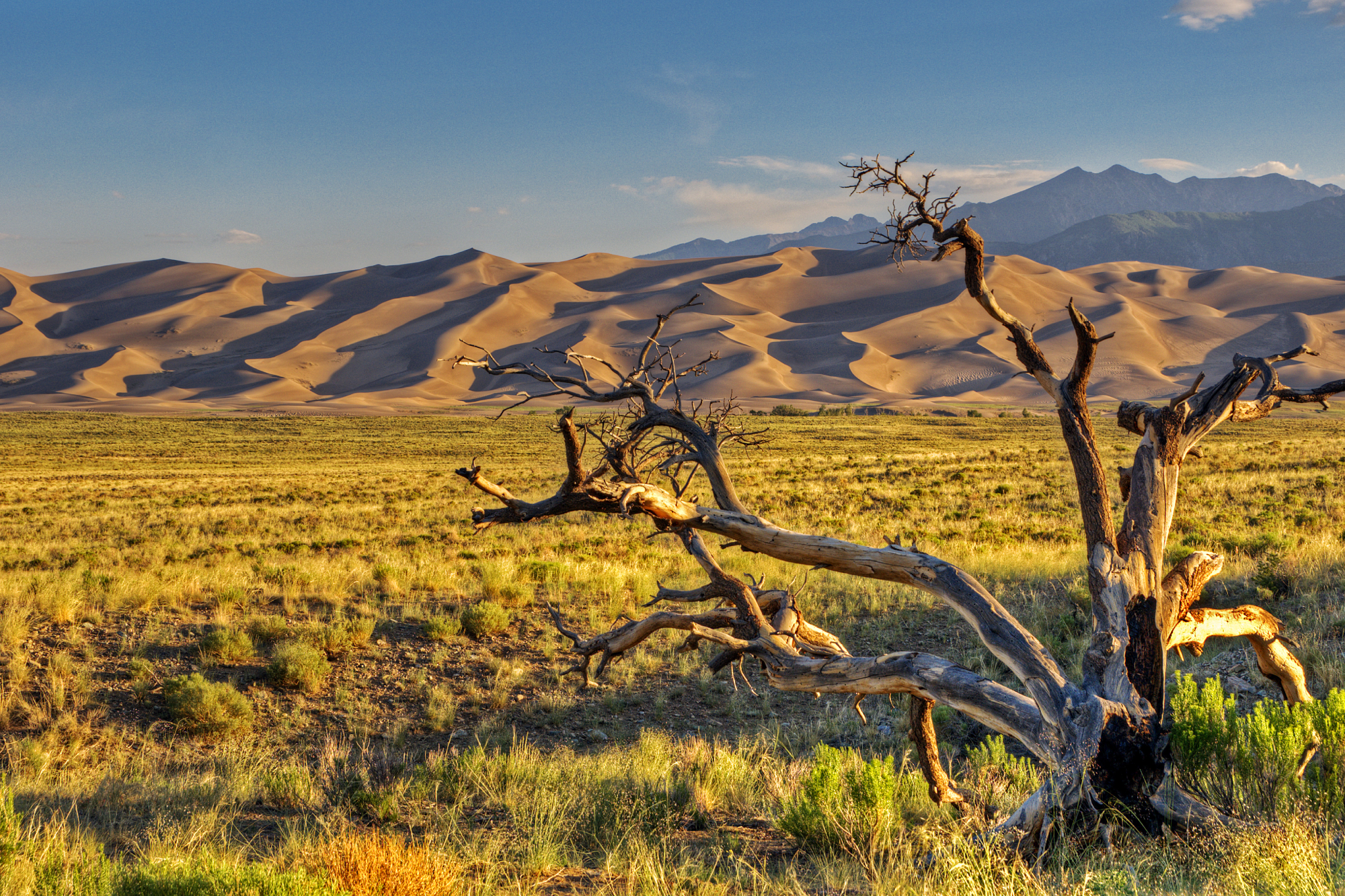 Stop 2: Great Sand Dunes National Park and Preserve