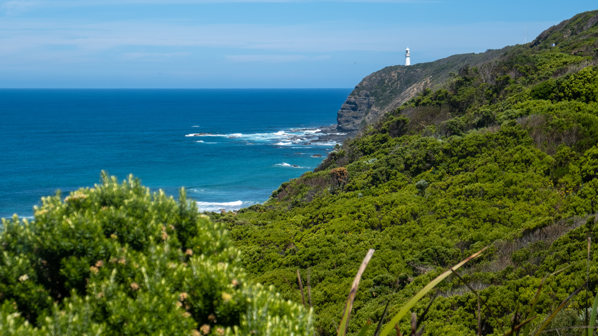 Step 4: Cape Otway
