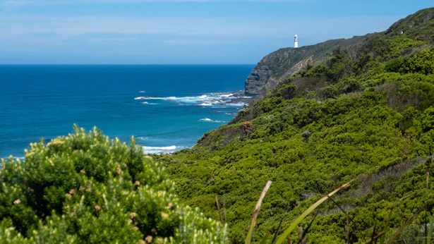 Step 4: Cape Otway