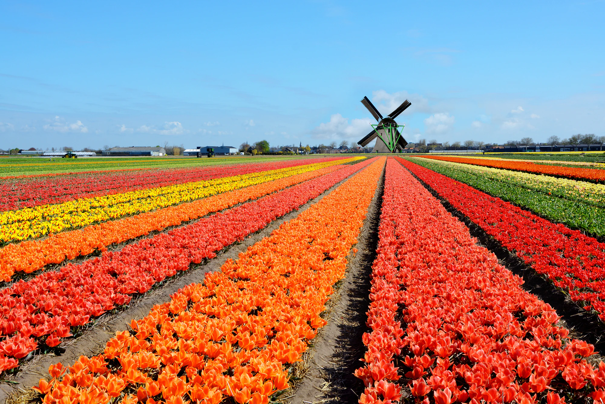Campervan and RV Rental in Amsterdam