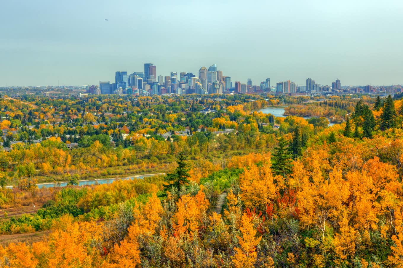 view of the city of Calgary from outside park
