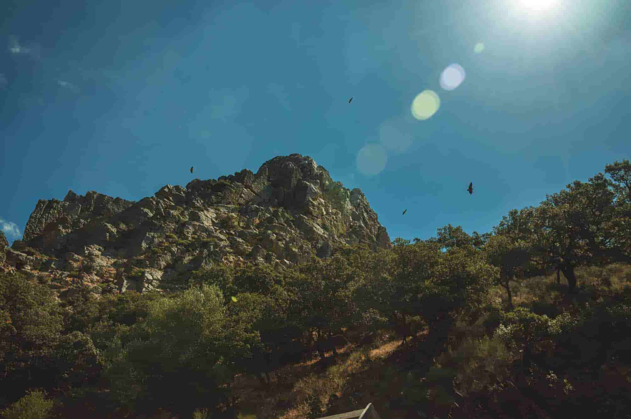 Stop 1: Parque Nacional de Monfragüe