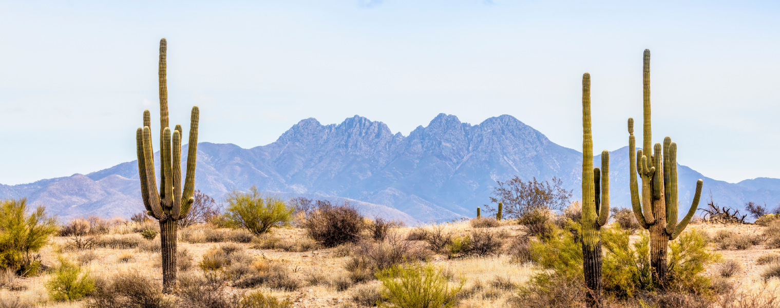 Campervan Rental in Arizona Indie Campers