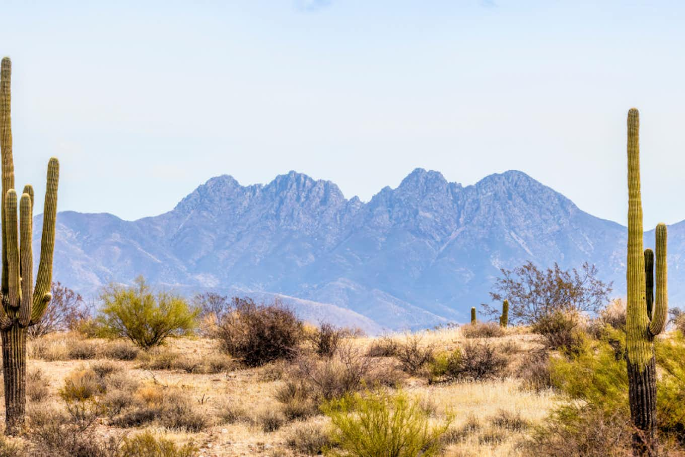 Arizona Wüstenlandschaft