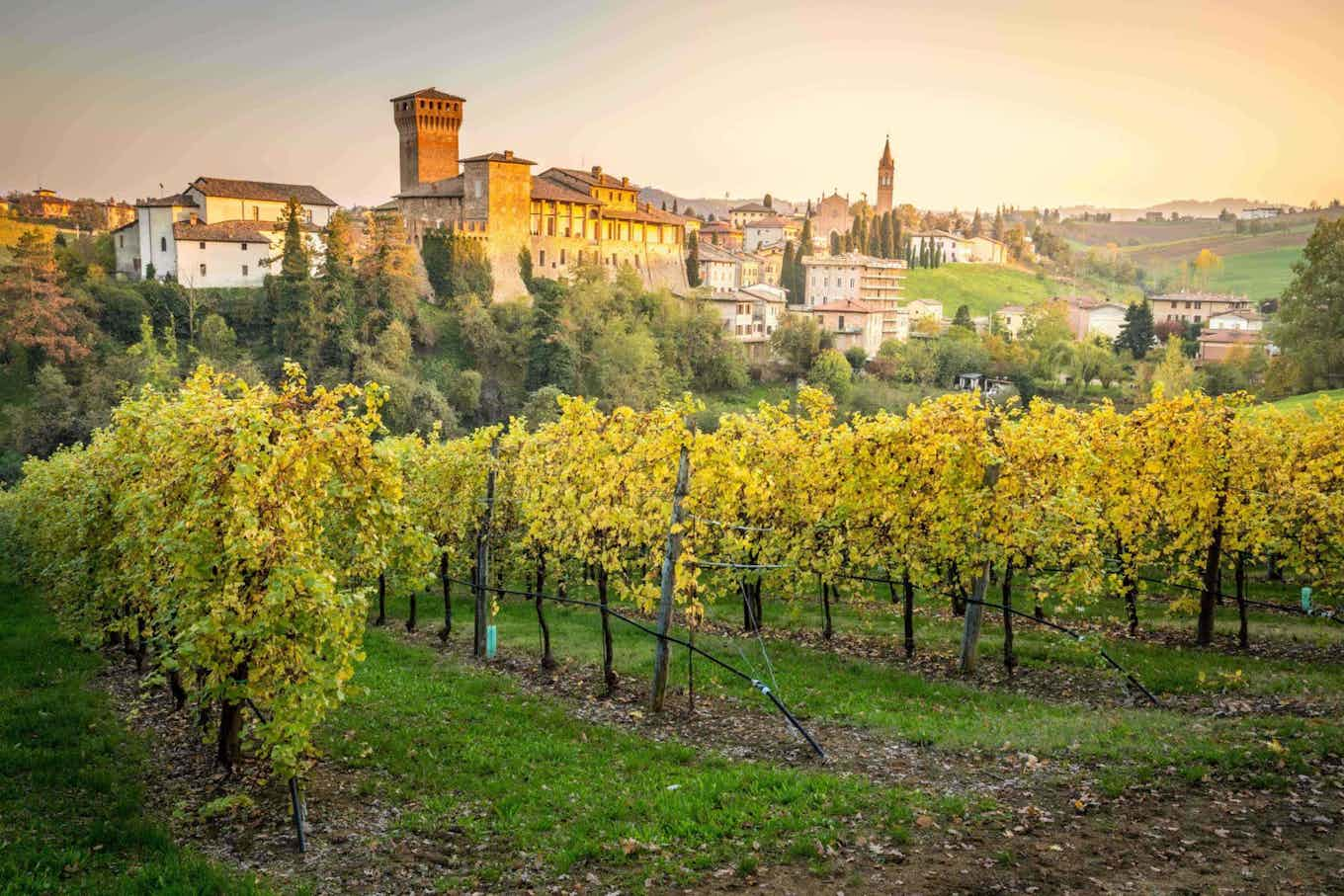 Vigna e vista naturale a Modena