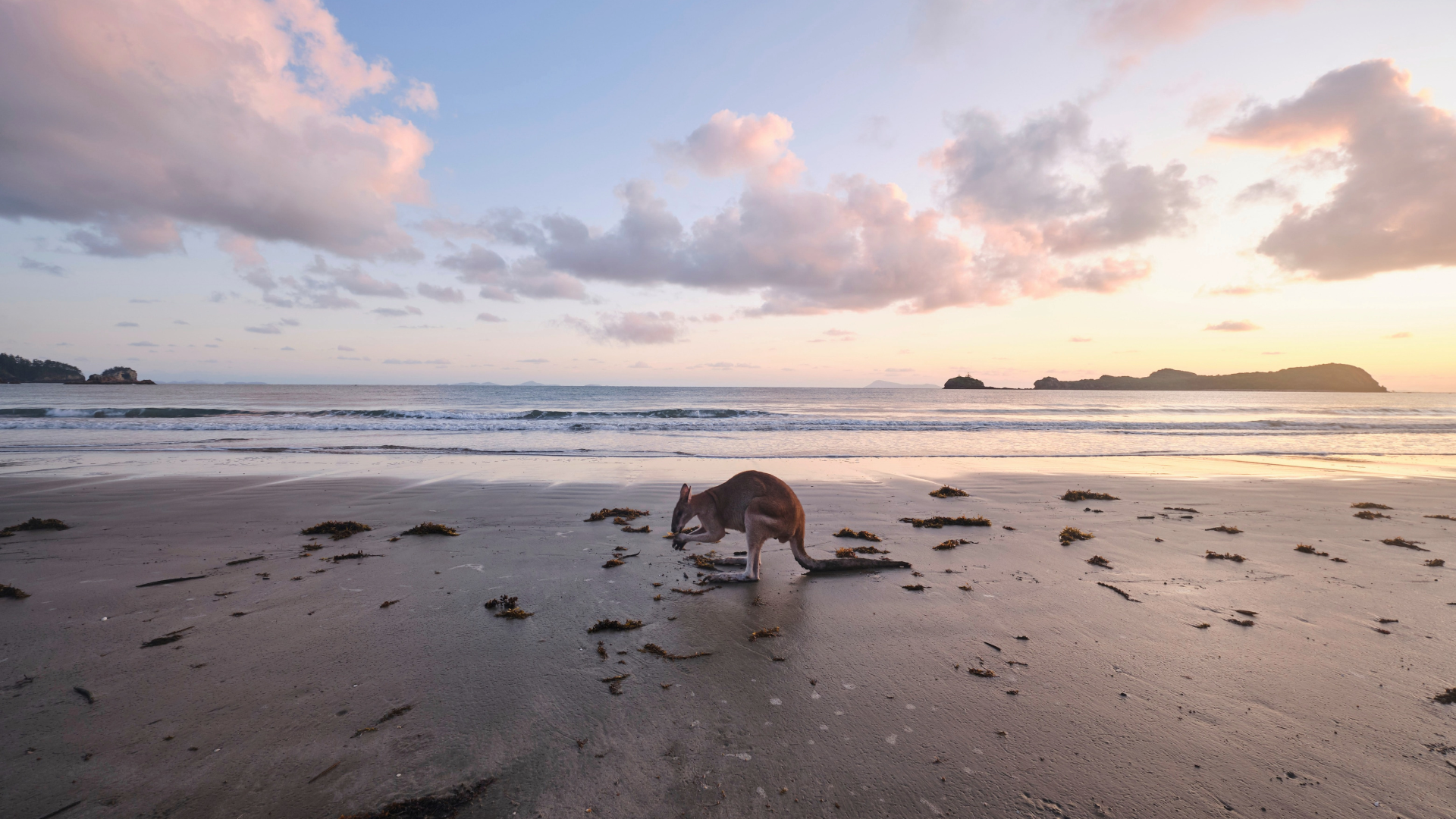 Must-See Places in Cape Hillsborough: