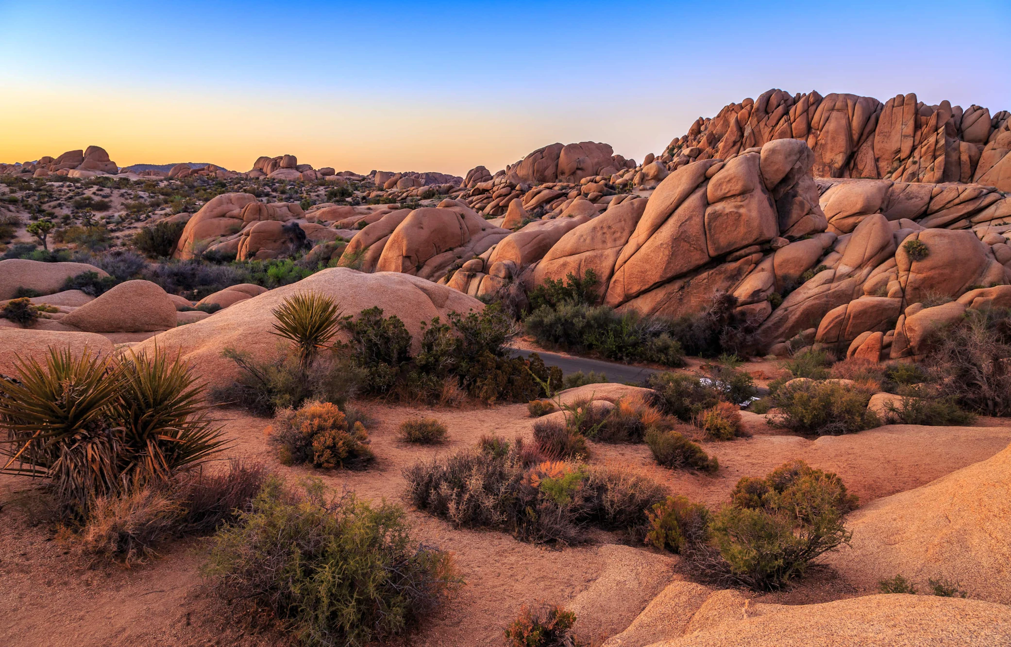 California Desert Road Trip