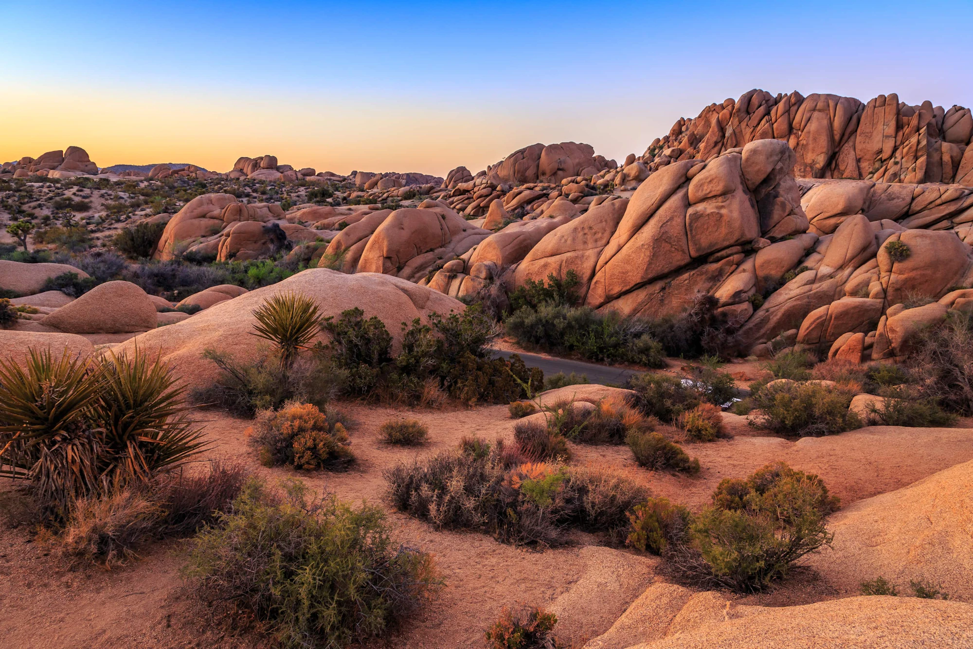 California Desert Road Trip