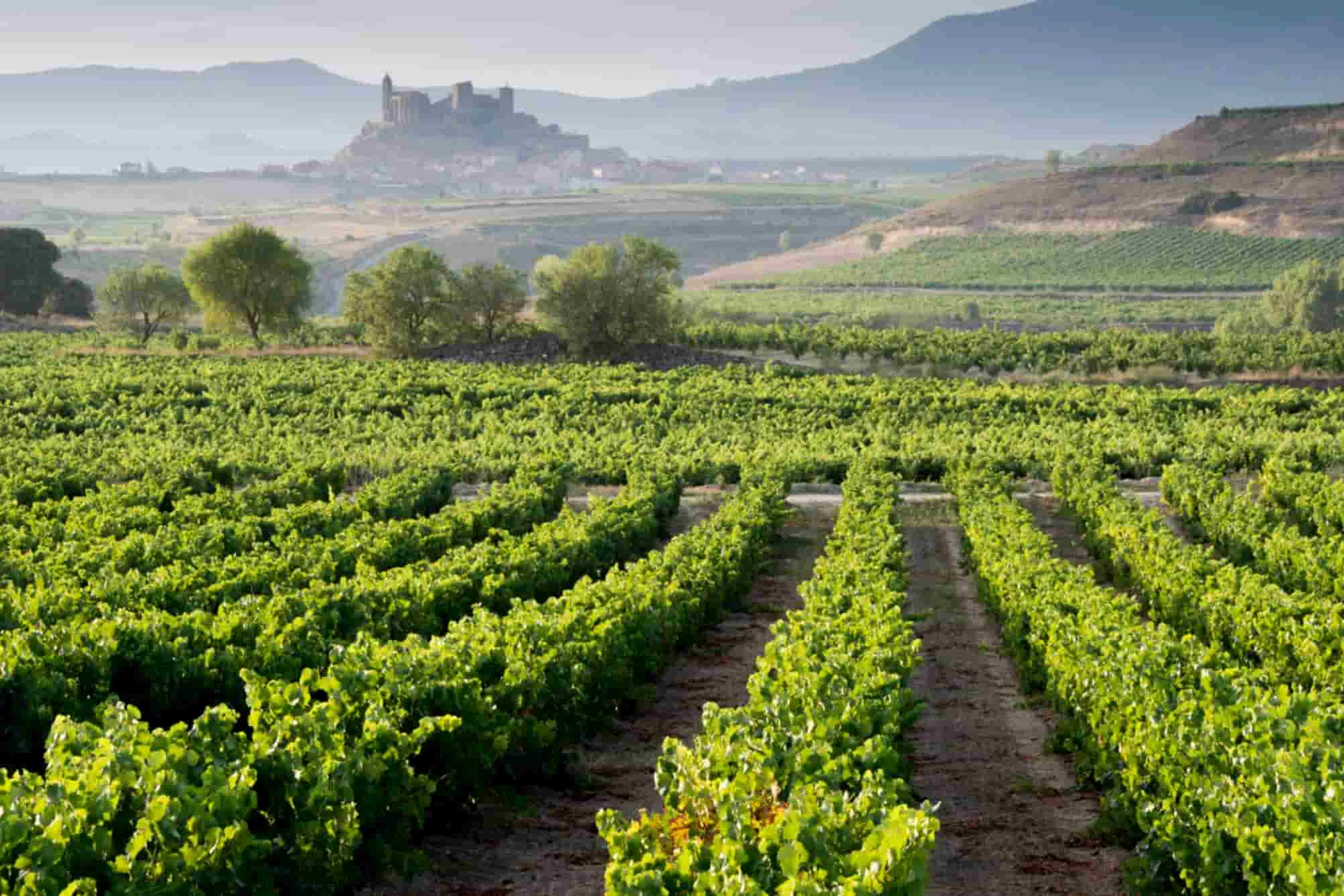 Itinéraire dans le nord de l'Espagne