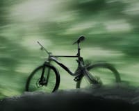 Riders Choice Marin Bikes 17 by Inertia Studios