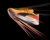 Puma Deviate Nitro Elite by Inertia Studios