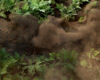 Helfare Symbiosis 09 by Inertia Studios