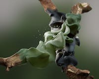 Helfare Symbiosis 16 by Inertia Studios