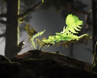 Helfare Symbiosis 17 by Inertia Studios