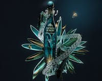 Patron El Alto 04 by Inertia Studios