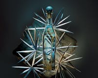 Patron El Alto 07 by Inertia Studios