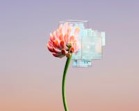 K18 Expression 08 by Inertia Studios