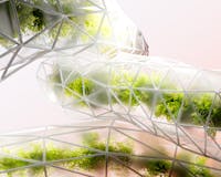 K18 Expression 23 by Inertia Studio