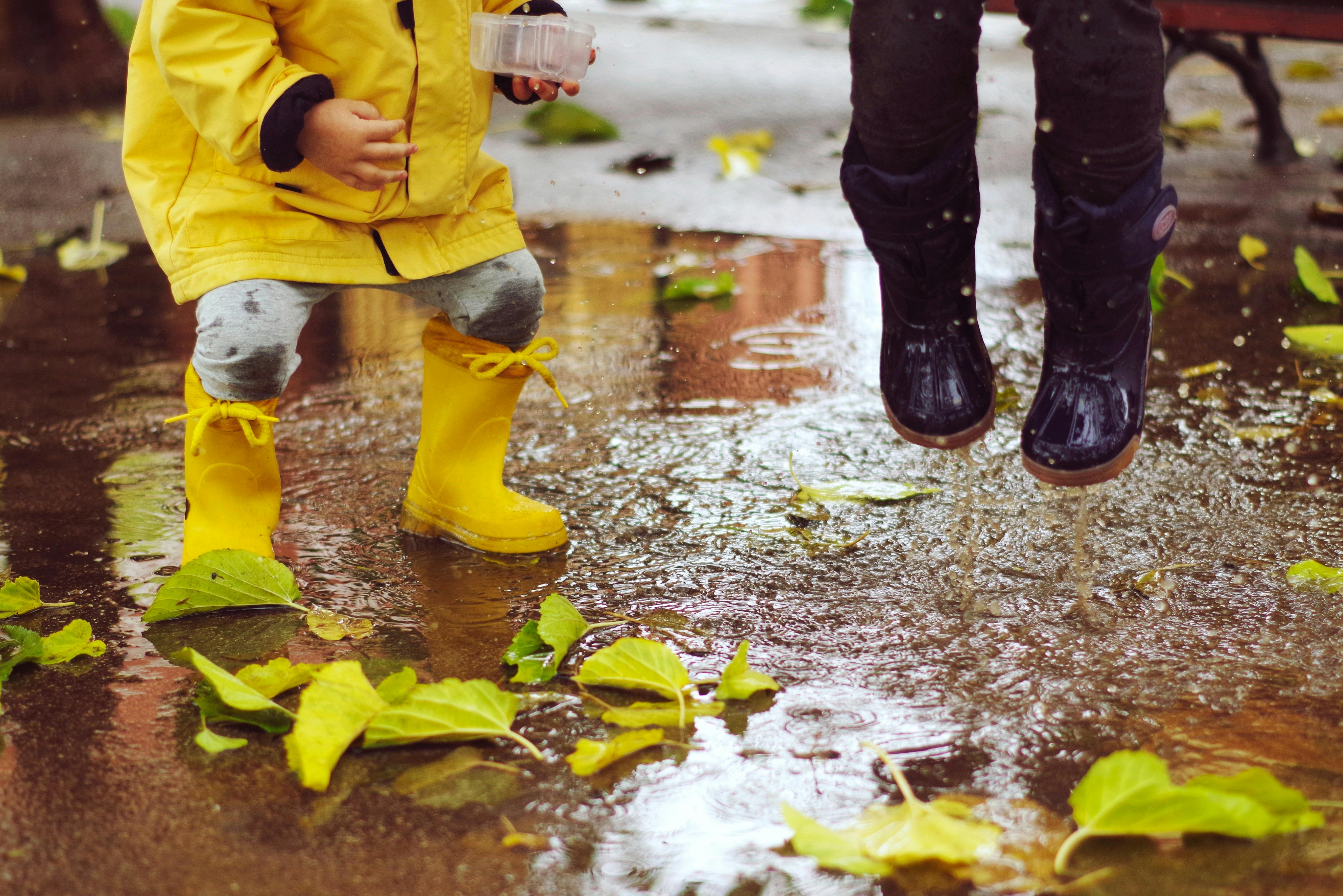 Cover Image for How we created an App for Child Protections Services