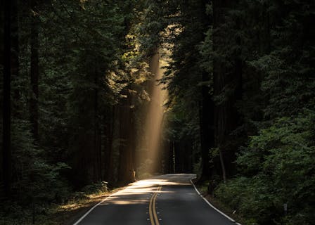 An illuminated road