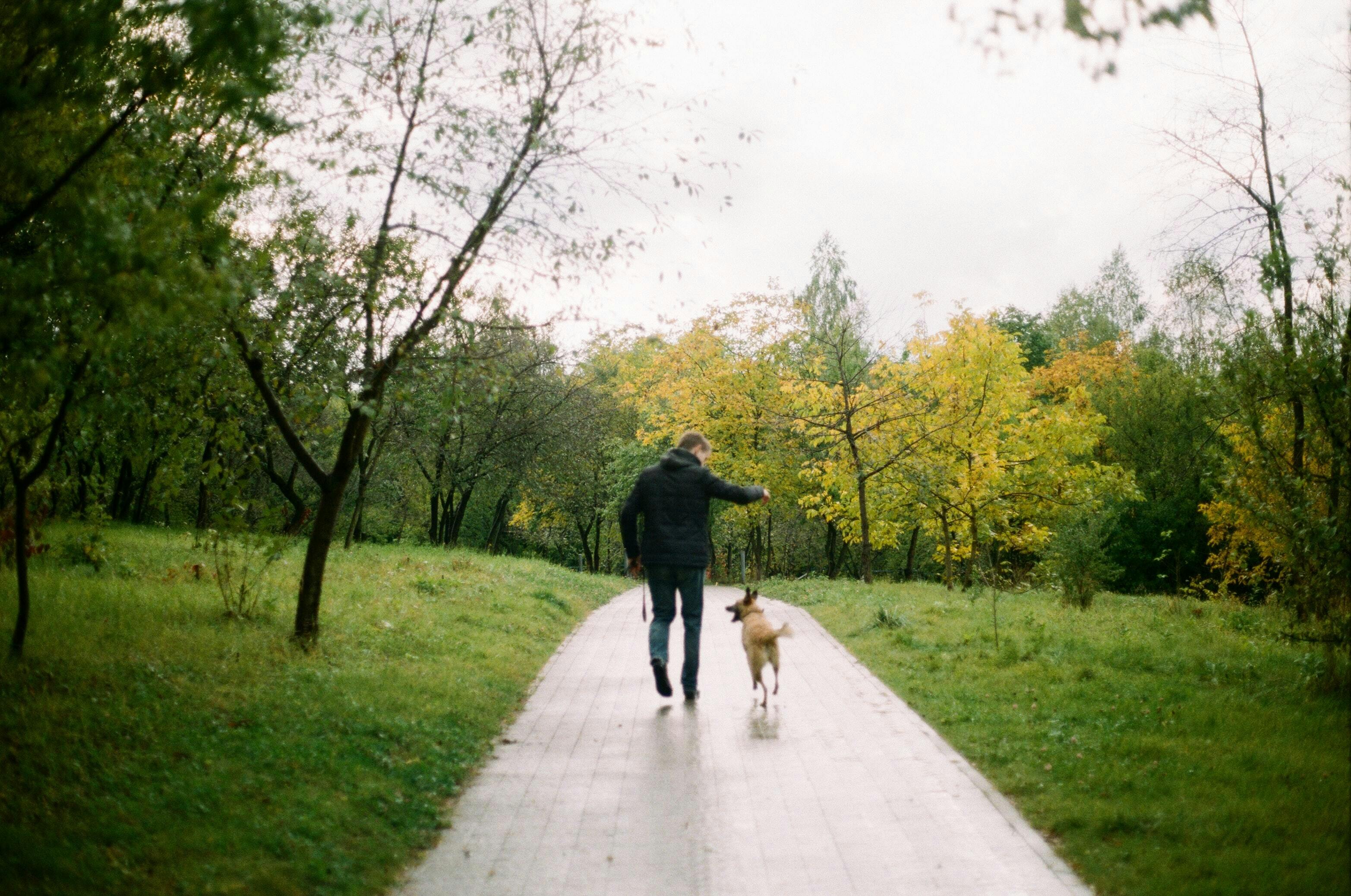 A man walking a dog