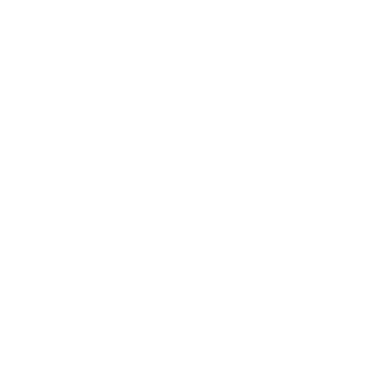 Reg&Partners logo in white