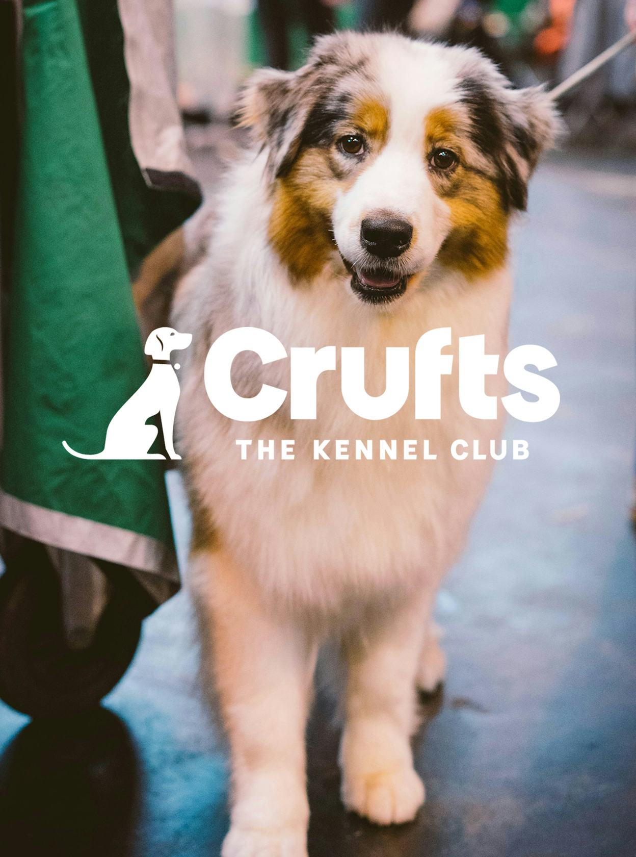 Crufts - The kennel club Logo