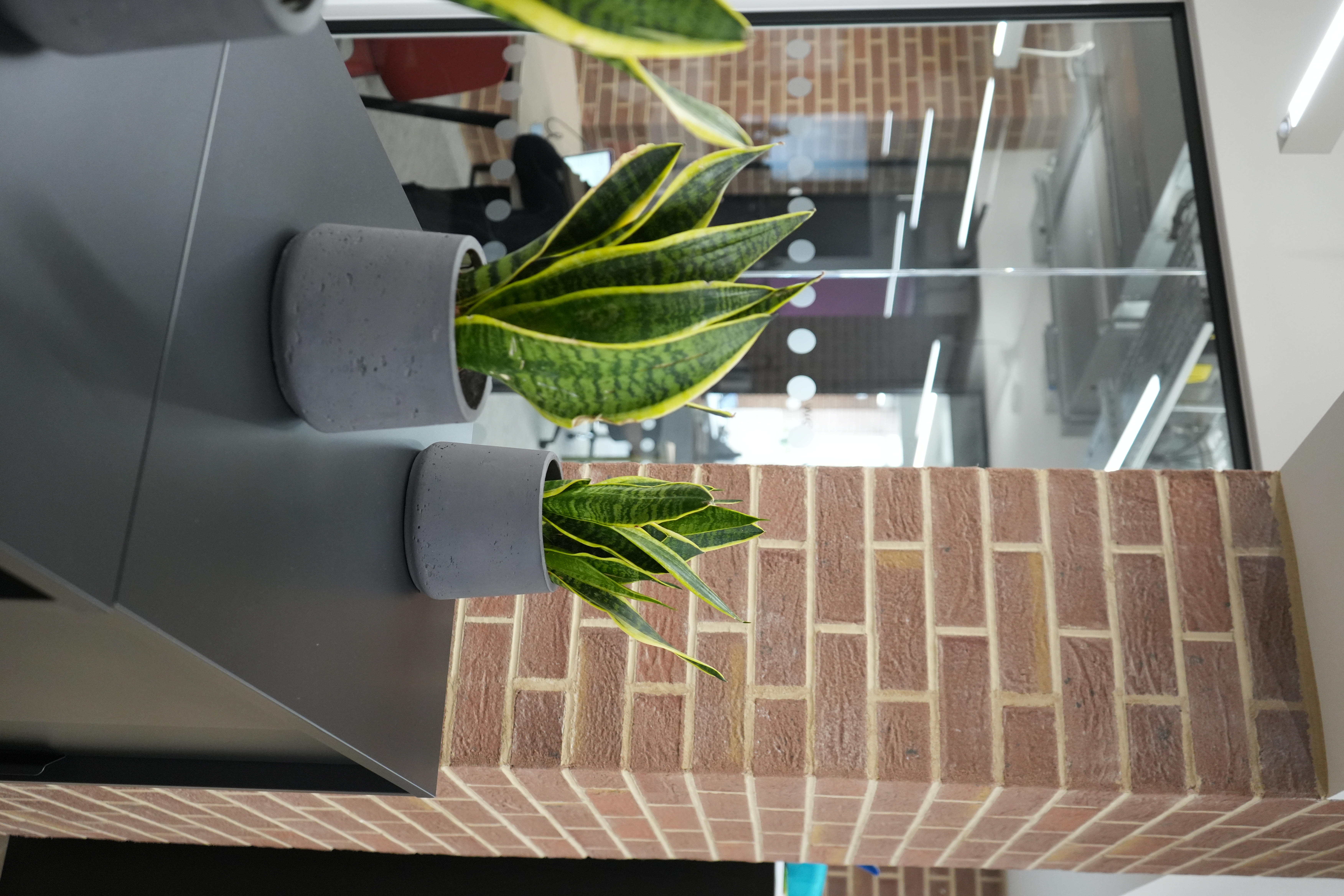 Plants on a unit with a brick wall behind 