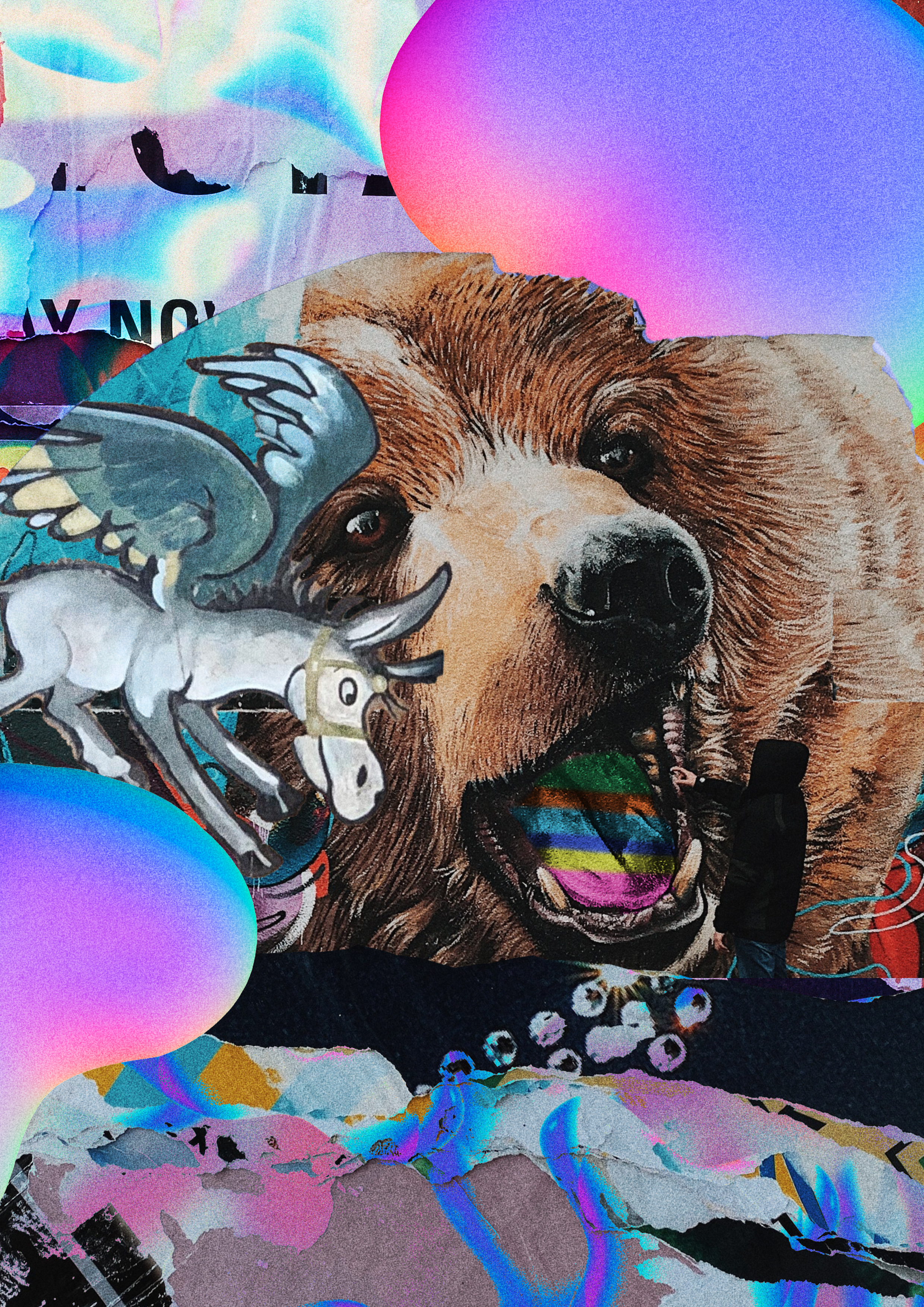 A bear head and a small donkey, on a colourful background