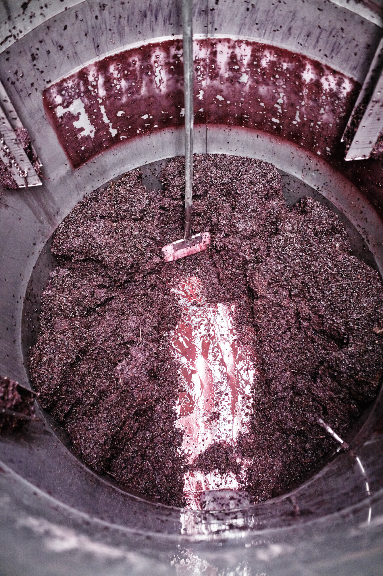 Tank of grapes in the shape of the IB man