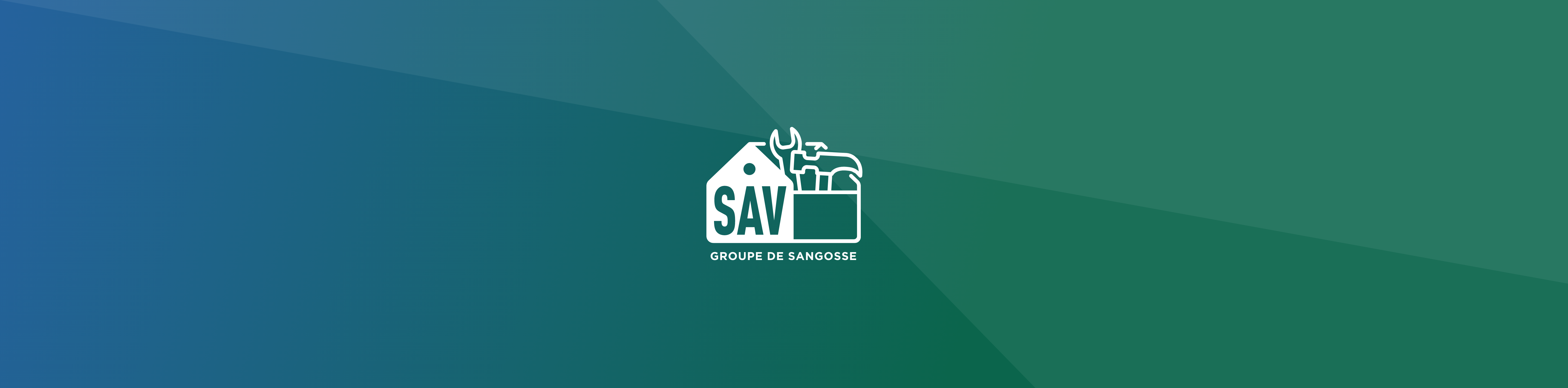 SAV Groupe de Sangosse