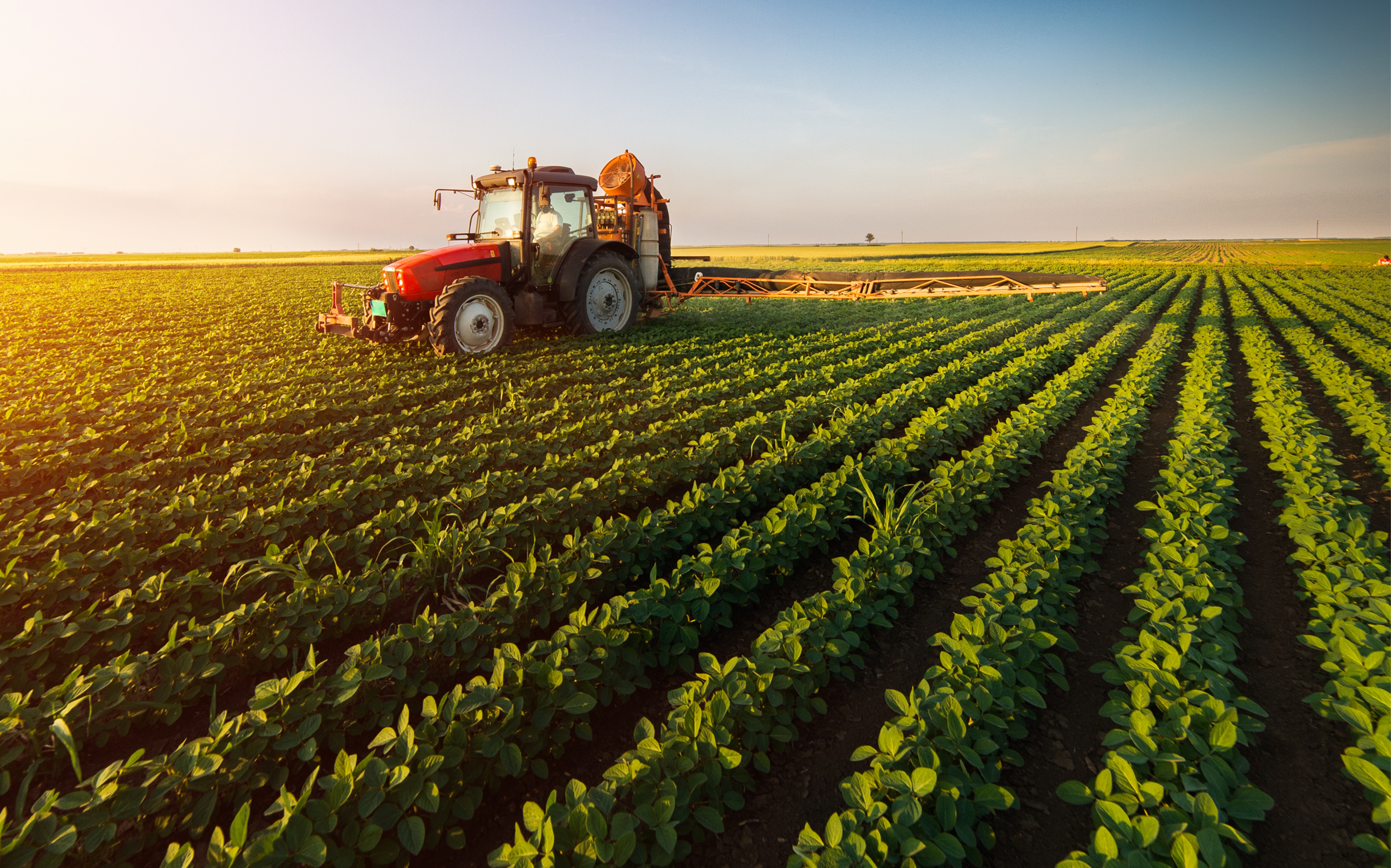 A tractor driving through green crop fields at sunset, representing modern agriculture and productivity.