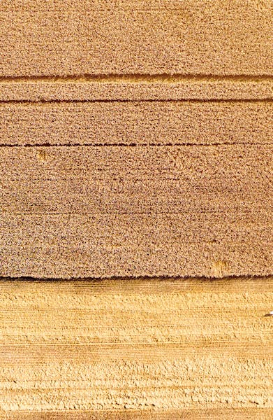 Close-up of layered wooden surfaces, representing natural materials and sustainable construction.