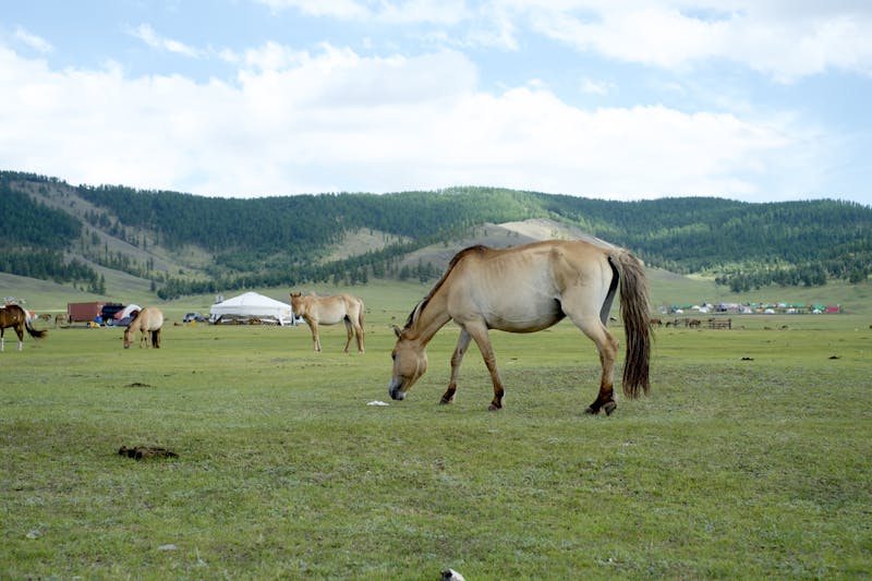 Visiting Bayankhongor Province