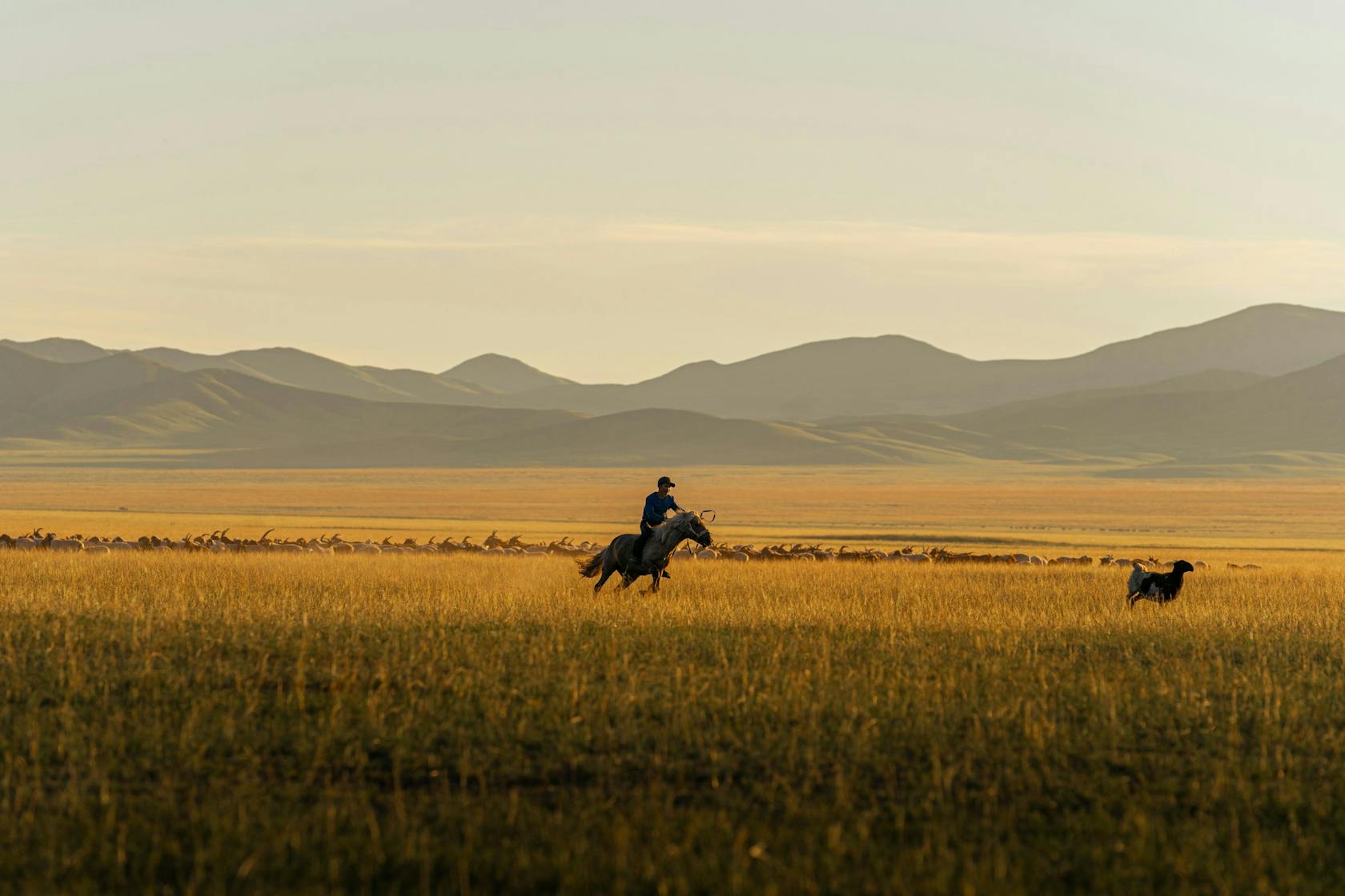 Visiting Dornod Province