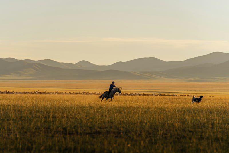 Visiting Dornod Province