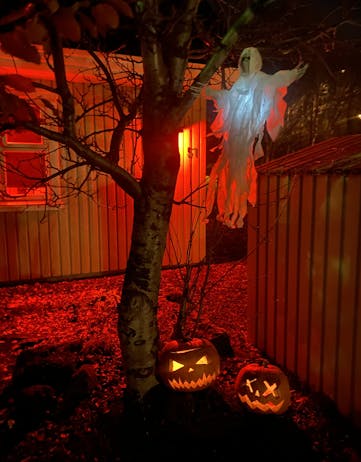 The glow of Halloween decorations in Iceland.