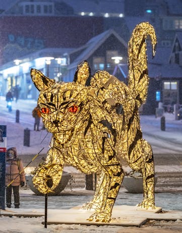 Icelandic Yule Cat