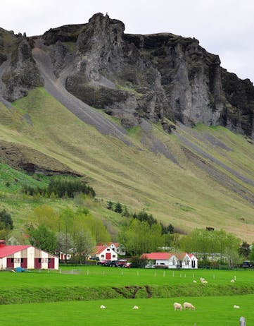A farm in Iceland