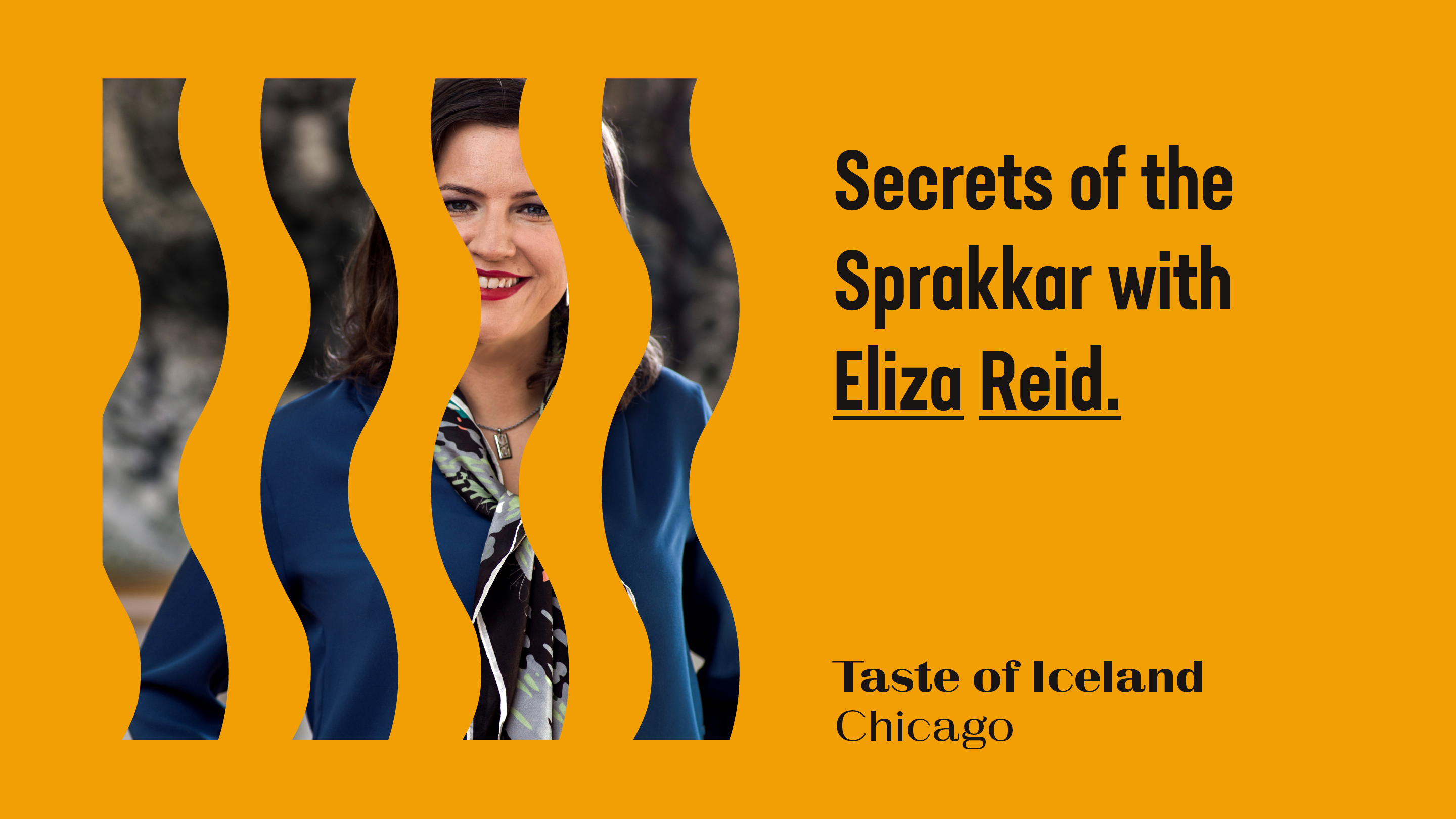 The Write Stuff Taste of Iceland Chicago 2022