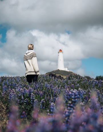 Reykjanesviti Lighthouse with lupine. Photo: Ása Steinars