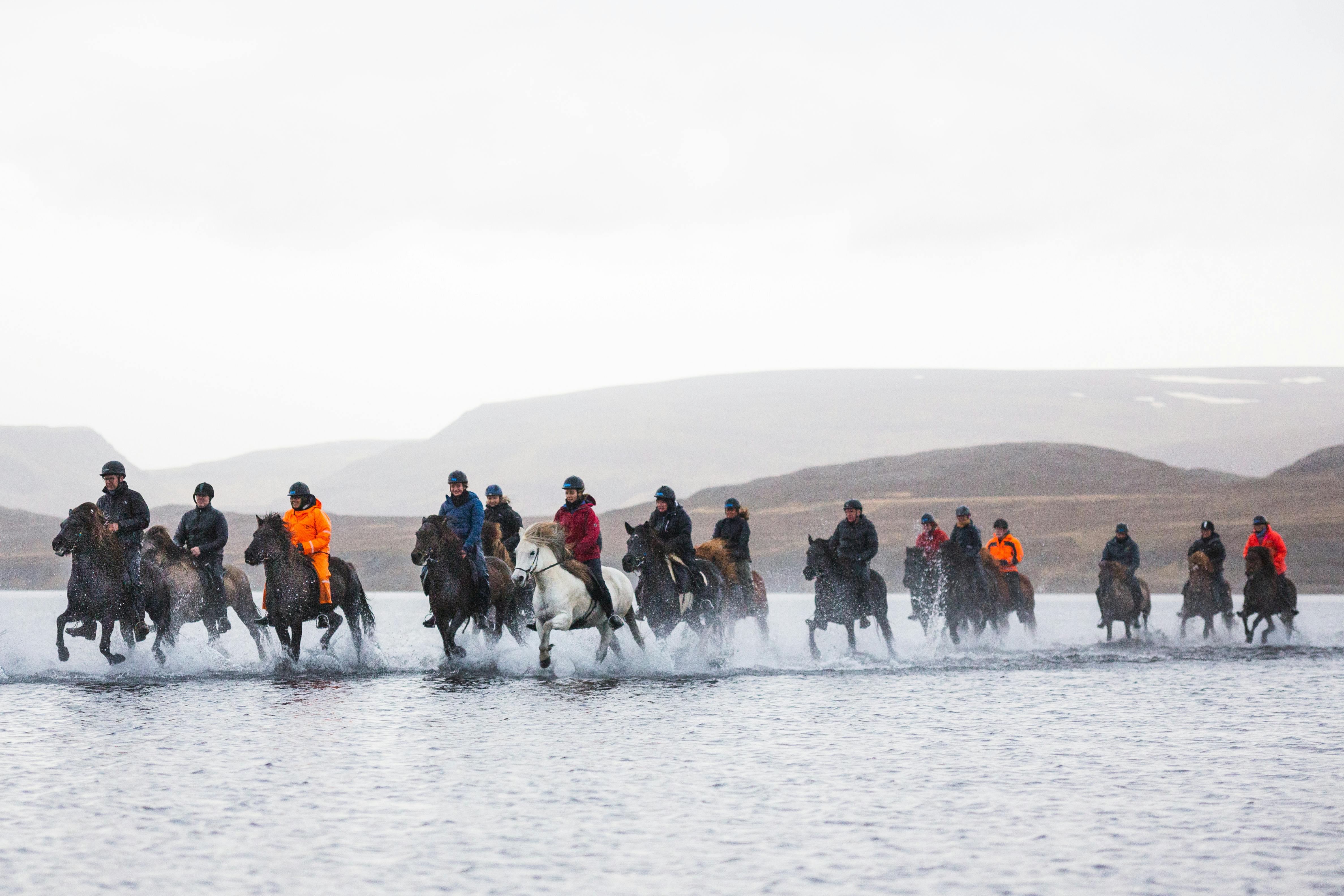 Horses riding across a river