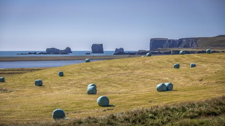 Hay bales wrapped in plastic in Iceland