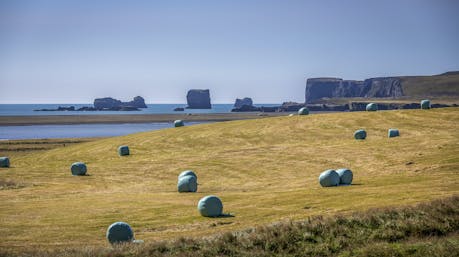 Hay bails wrapped in plastic in Iceland