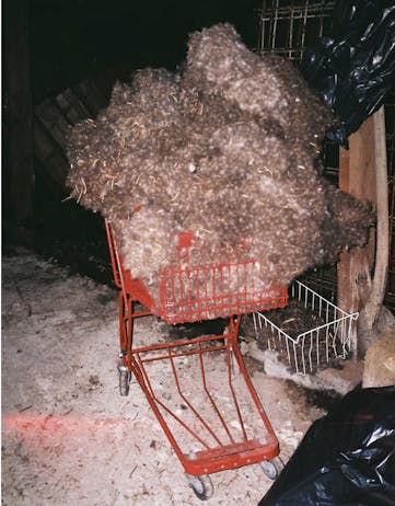 Secondary design and research project for Icelandic eiderdown. Picture of a shopping cart full of eiderdown. 