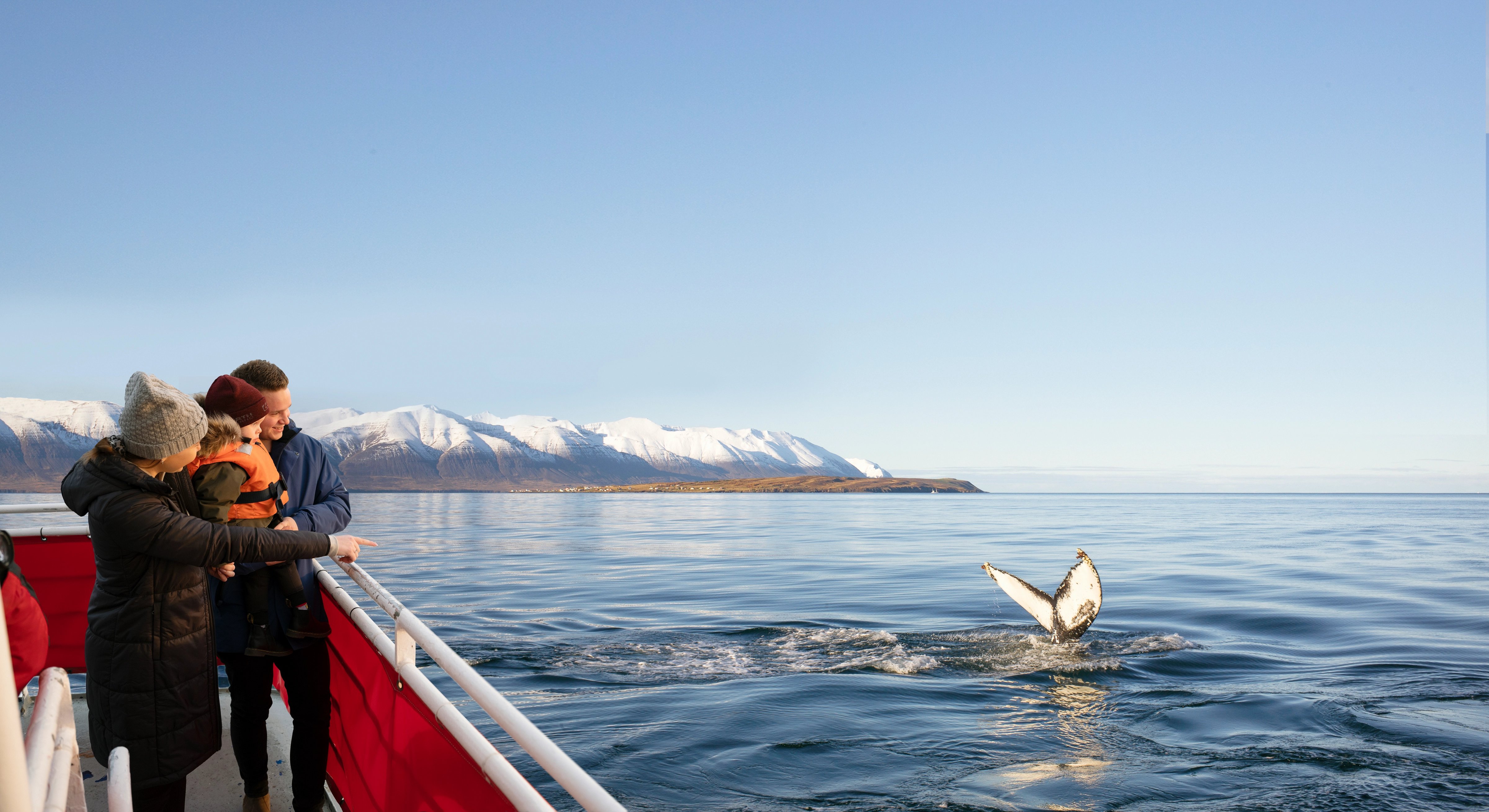 Family whale watching in Iceland with snowy mountains in the background as a humpback whale tail splashes in calm coastal waters.