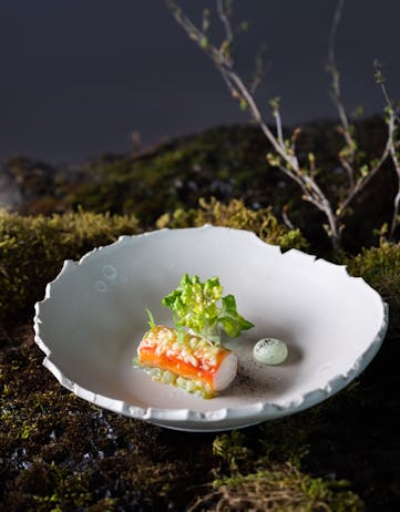 Close up picture of food from Moss Restaurant at the Blue Lagoon, Photo: Blue Lagoon