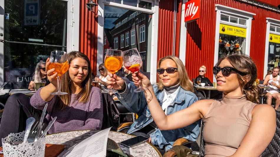 Cheers to Icelandic Independence