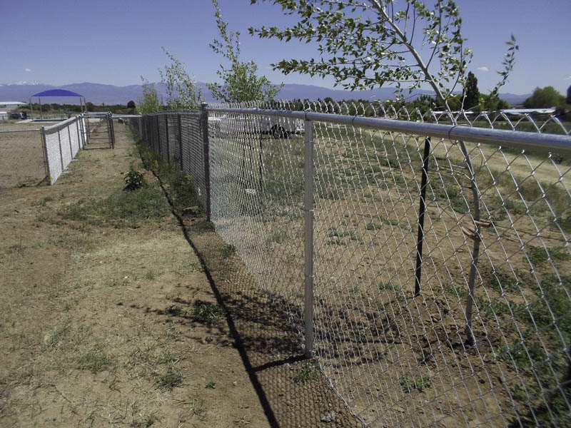 Los-Alamos-Landscaping-&-More-chain-link-fence