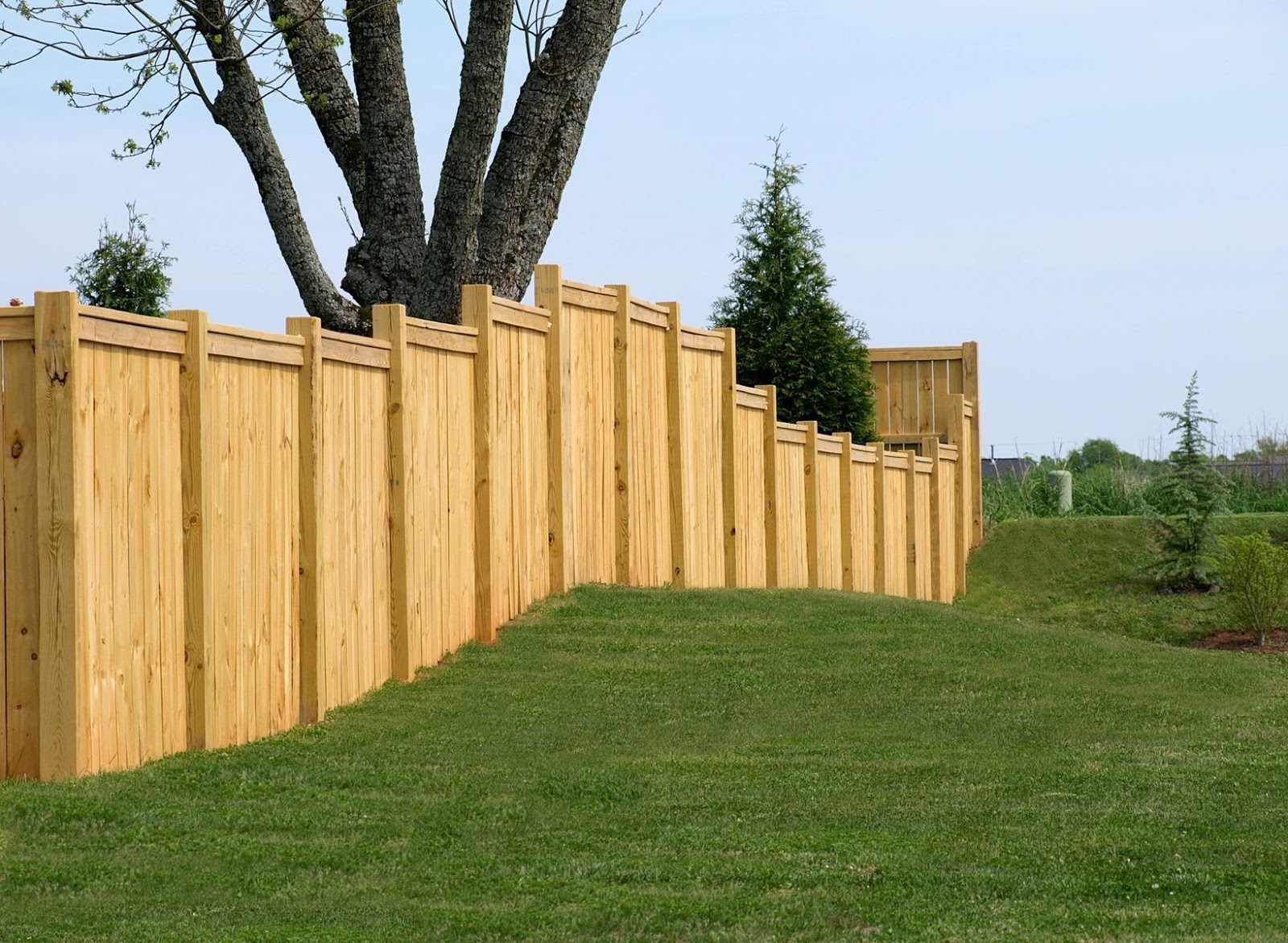 Denver-Fence-Construction-Wooden-fence